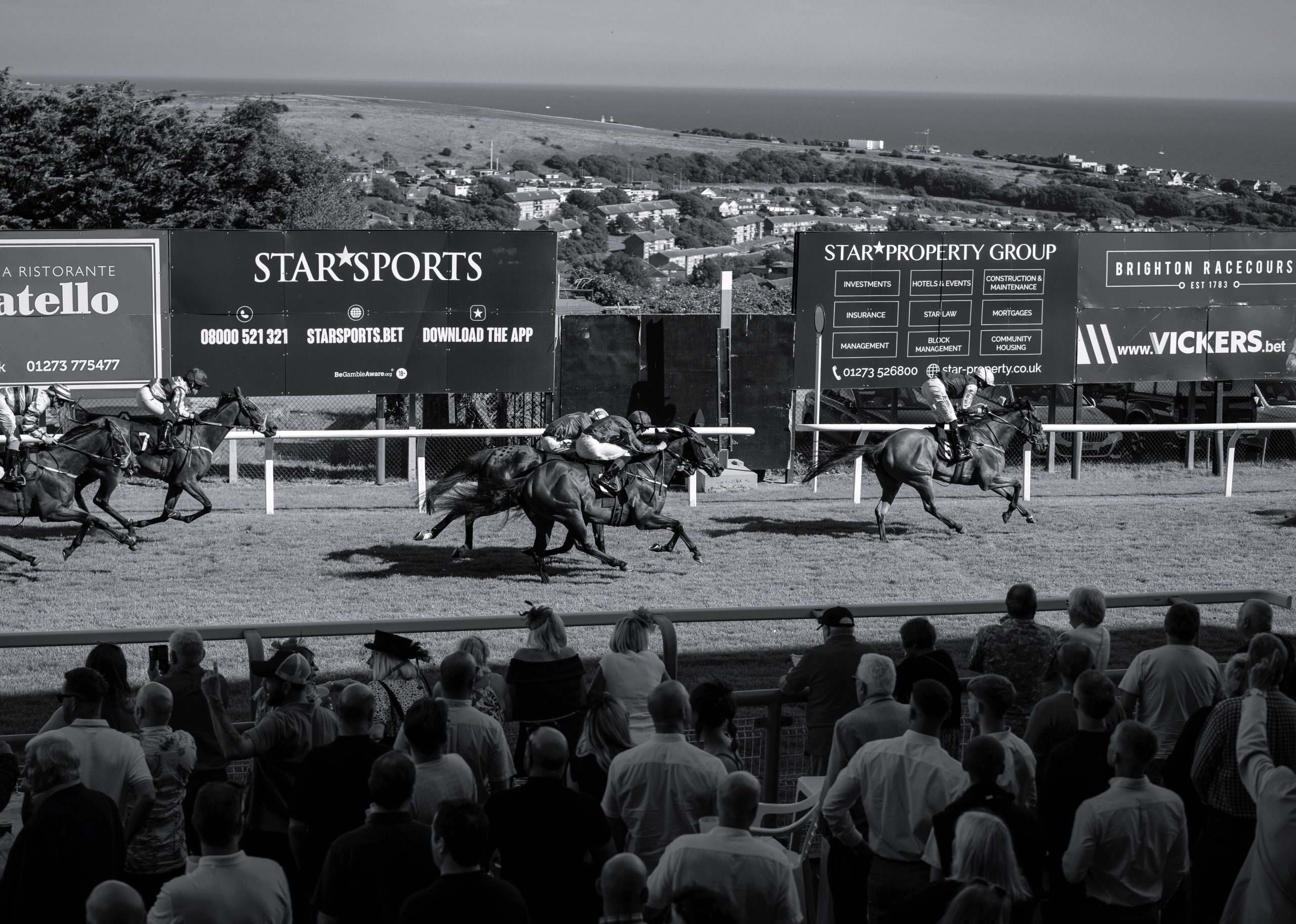 horses racing to the finish line